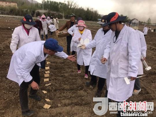 圖為研究員實(shí)地調(diào)研青稞生長(zhǎng)土壤?！⊥跤窳?攝