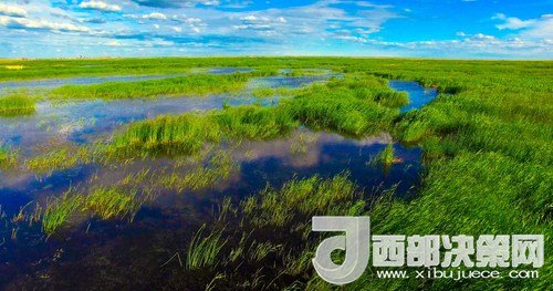 呼倫湖濕地。吳勇攝