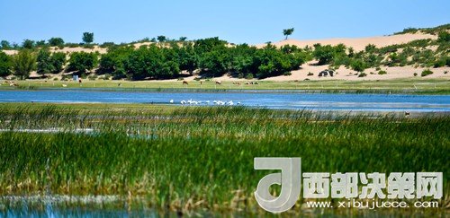 阿魯科爾沁保護(hù)區(qū)濕地沙丘。吳勇攝