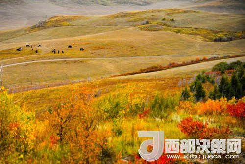 錫林郭勒草原國家級(jí)自然保護(hù)區(qū)。吳勇攝