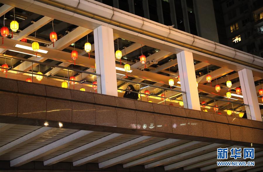 （社會(huì)）（3）小豬快來