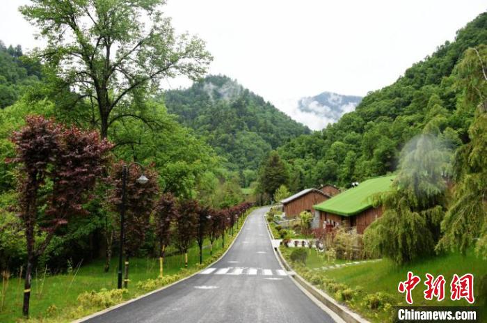 九寨溝熊貓園外景?！【耪瘻峡h委宣傳部提供 攝