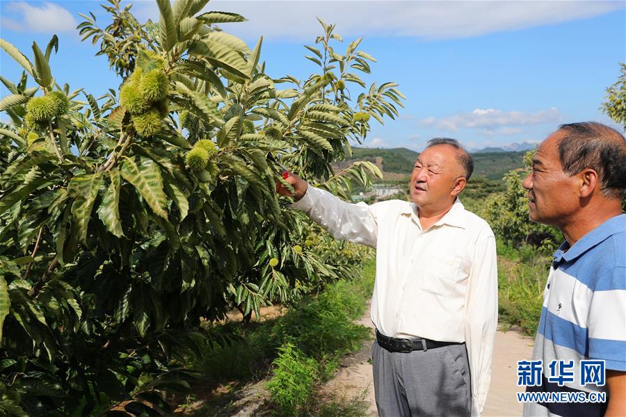 （新華全媒頭條·走向我們的小康生活·圖文互動）（11）長城腳下，小康村串成“珍珠鏈”