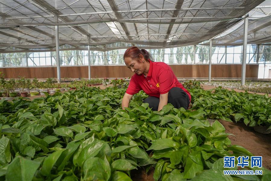 （新華全媒頭條·圖文互動）（11）旗引天山南北　譜寫發(fā)展新篇——以習(xí)近平同志為核心的黨中央關(guān)心新疆工作紀(jì)實(shí)