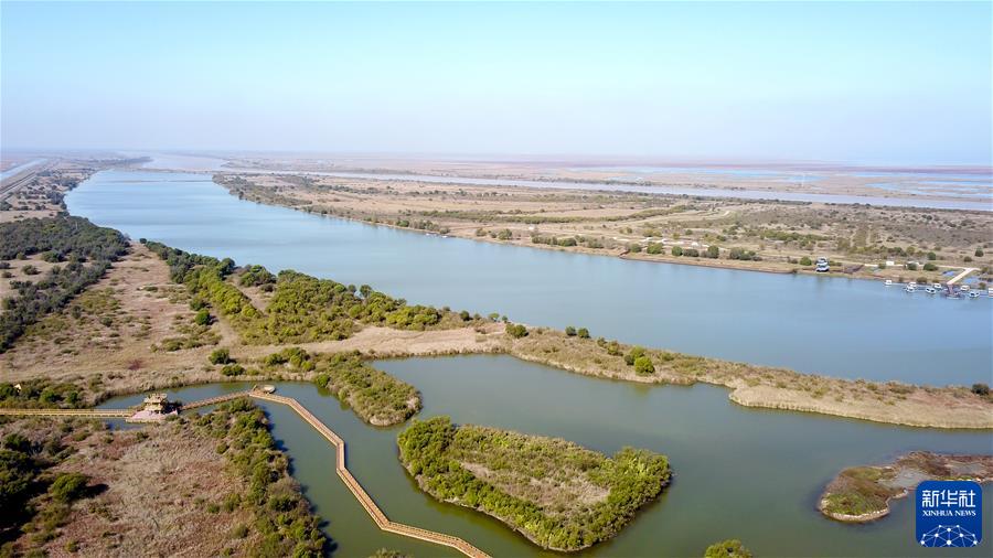 (新華全媒頭條·圖文互動(dòng))(4)鯤鵬展翅九萬(wàn)里——以習(xí)近平同志為核心的黨中央引領(lǐng)中華民族邁向偉大復(fù)興述評(píng)